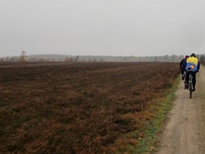 Wilseder Berg 1 2010 021